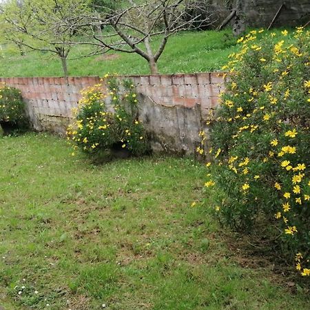 Fondu La Llosa - Casita Cerca De Gijon - Vv-662-As 比利亚维西奥萨 外观 照片