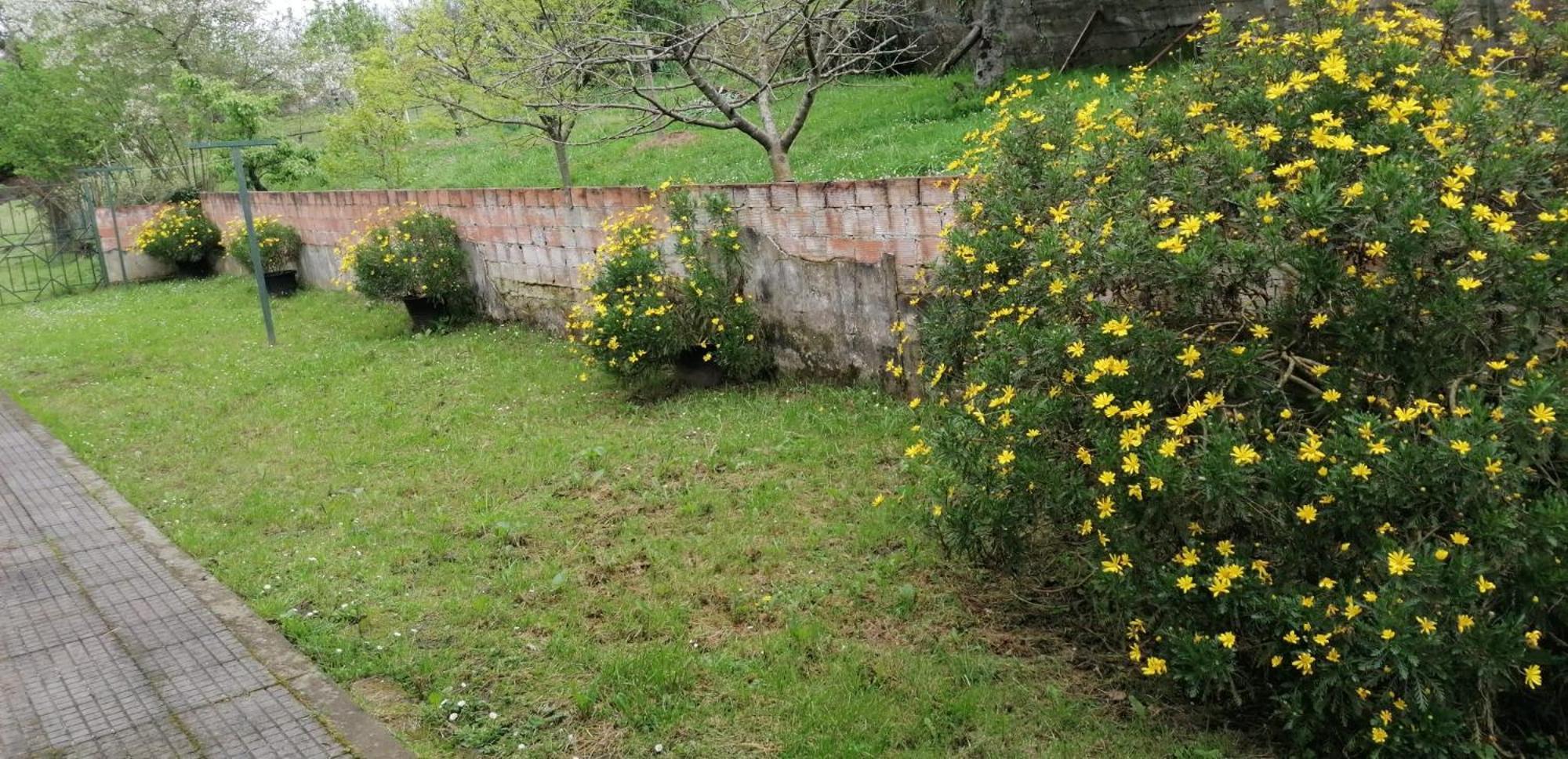 Fondu La Llosa - Casita Cerca De Gijon - Vv-662-As 比利亚维西奥萨 外观 照片